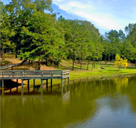 Scenic lake at Victoria Bryant State Park