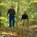 Hiking at Vogel State Park