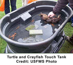 Warm Springs Fish Hatchery Display