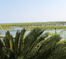 Marsh at Wilmington Island GA